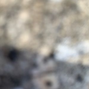 Meet your Posher, Zameer